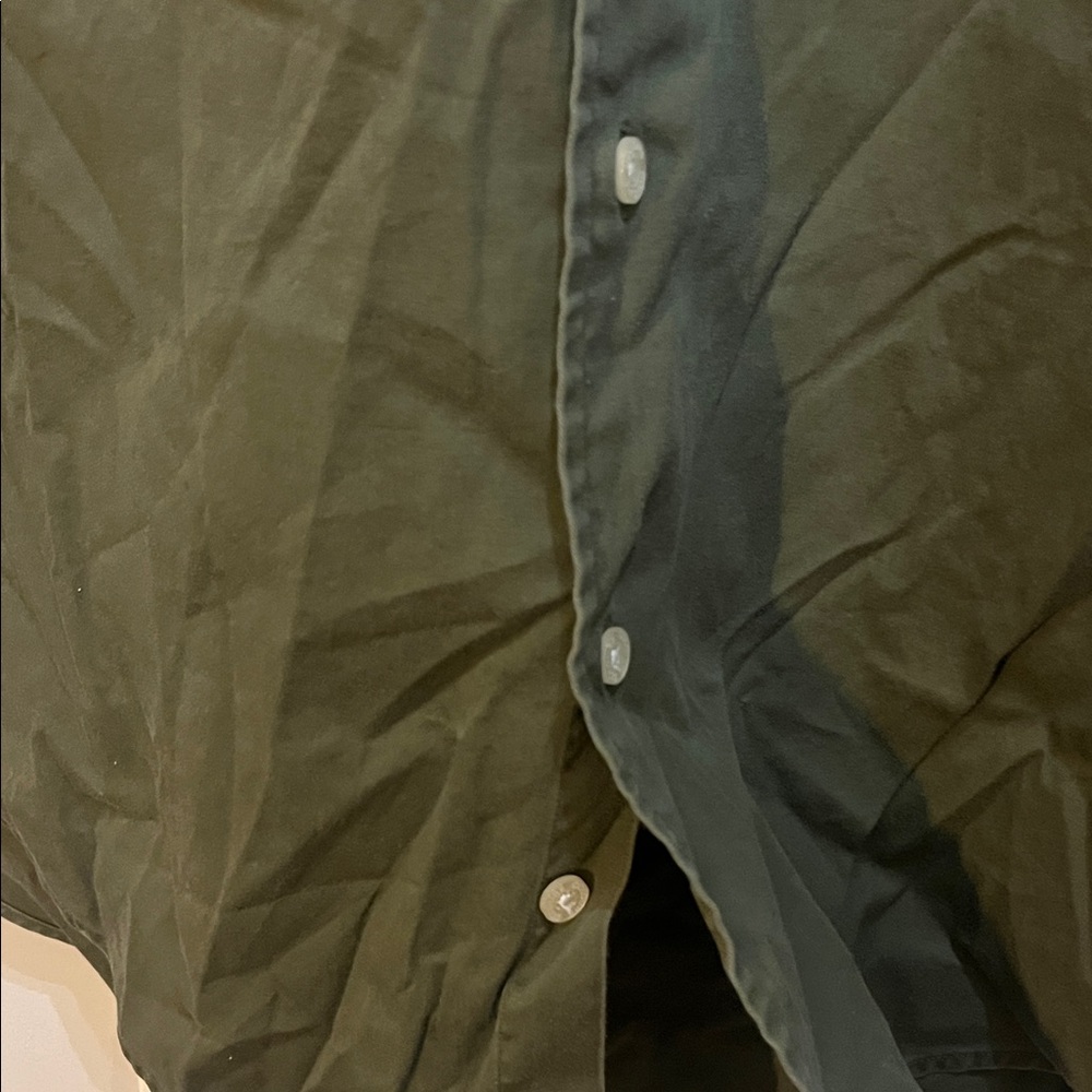 Alexander Julian Olive Cotton Button Down Shirt - Picture 4 of 6